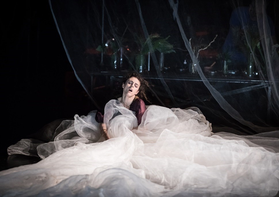 Traviata
