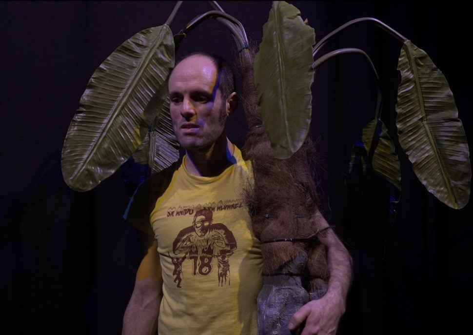 Kingdom · Teatre Lliure de Montjuïc (Festival Grec)