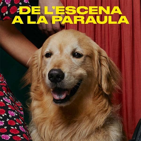De l’escena a la paraula. Curs d’interpretació de llengua de signes especialitzat en arts escèniques