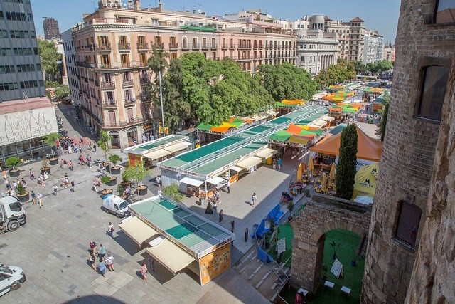 La Setmana del Llibre en Català