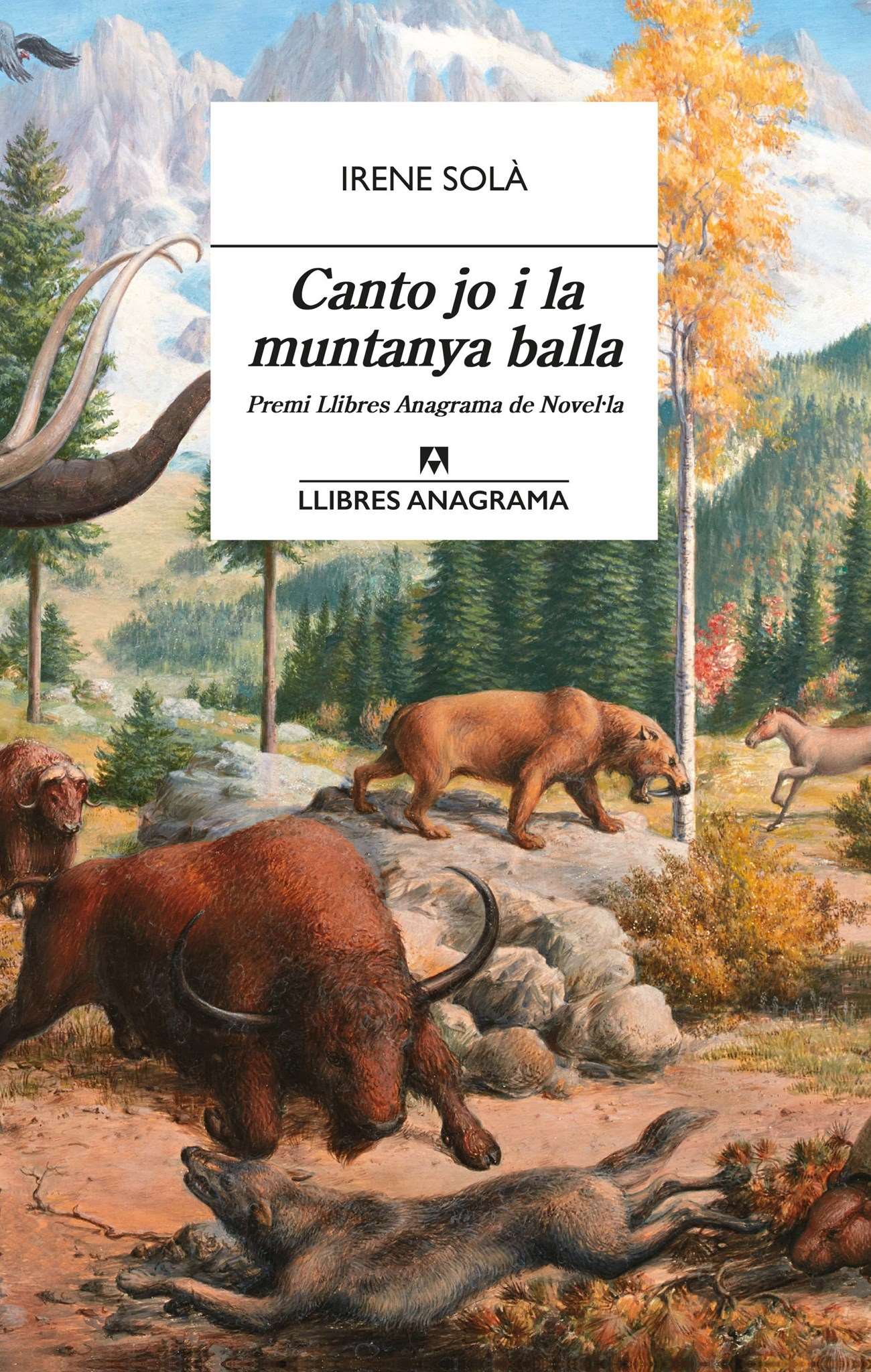 Canto jo i la muntanya balla d'Irene Solà