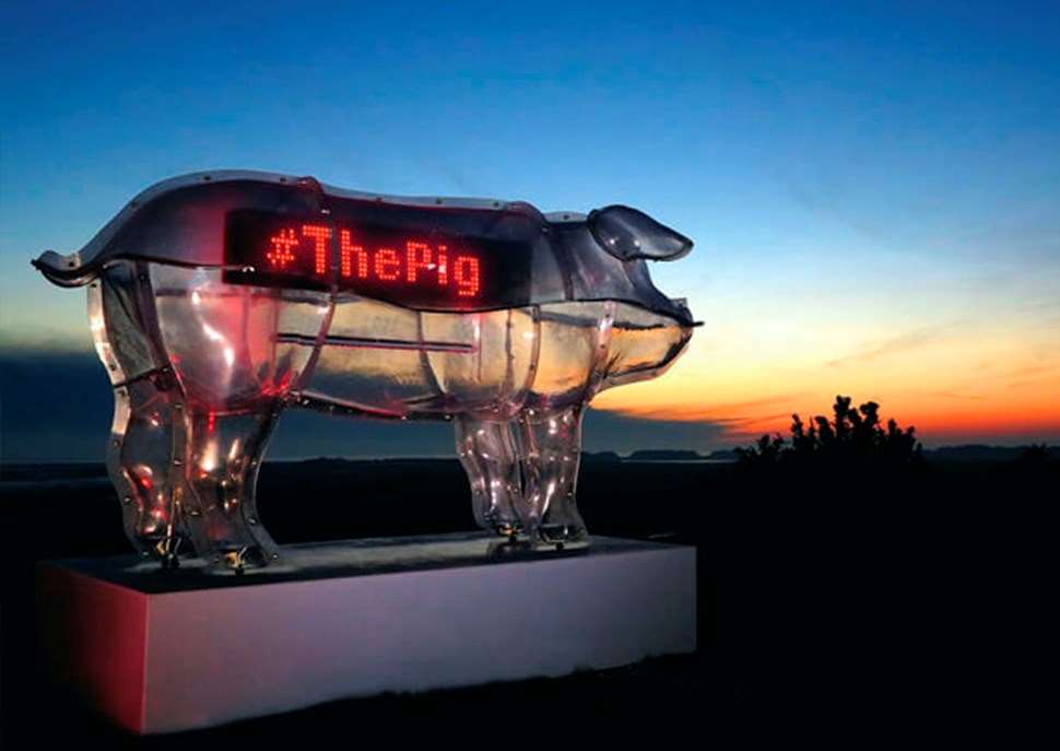 Pig