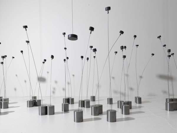 Exposicions MACBA