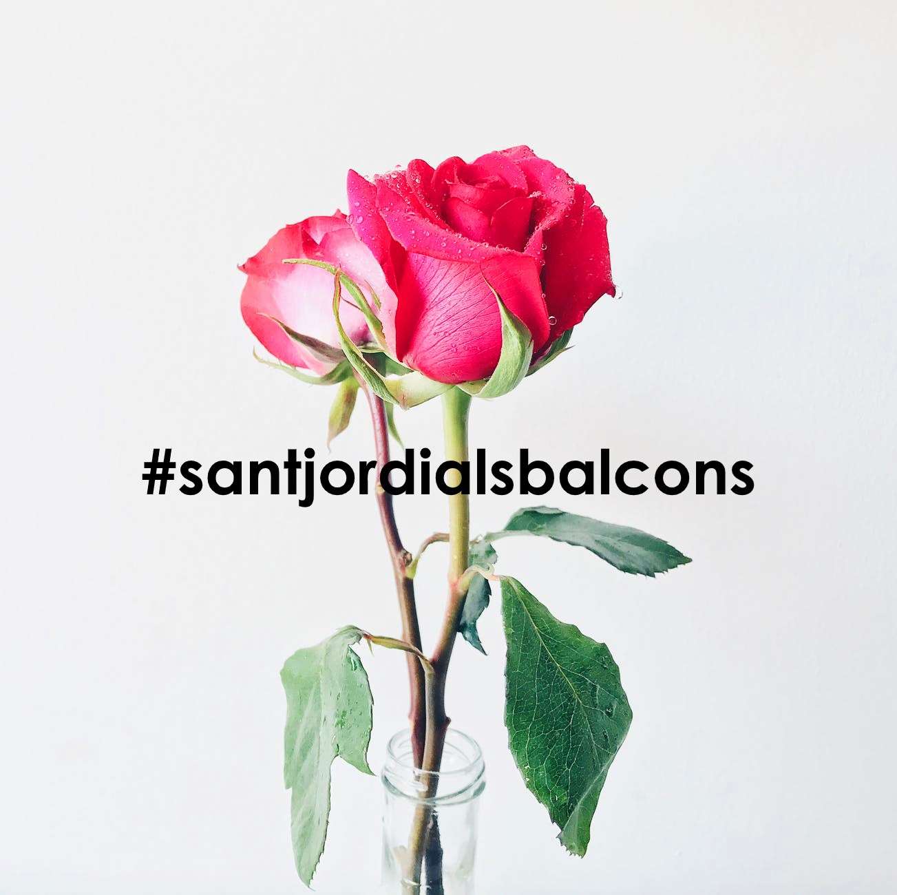 Sant Jordi als balcons