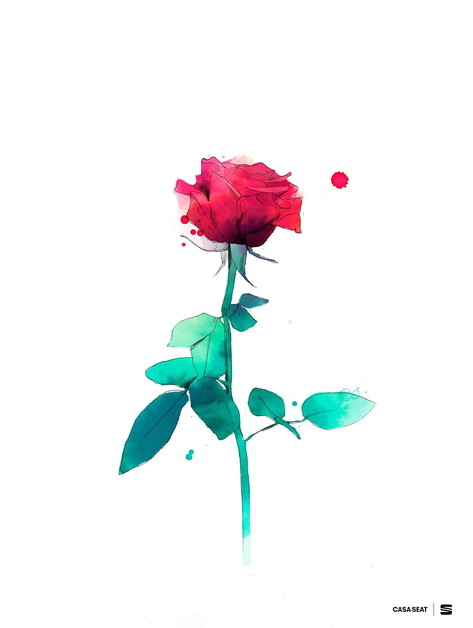 La rosa virtual de Casa Seat