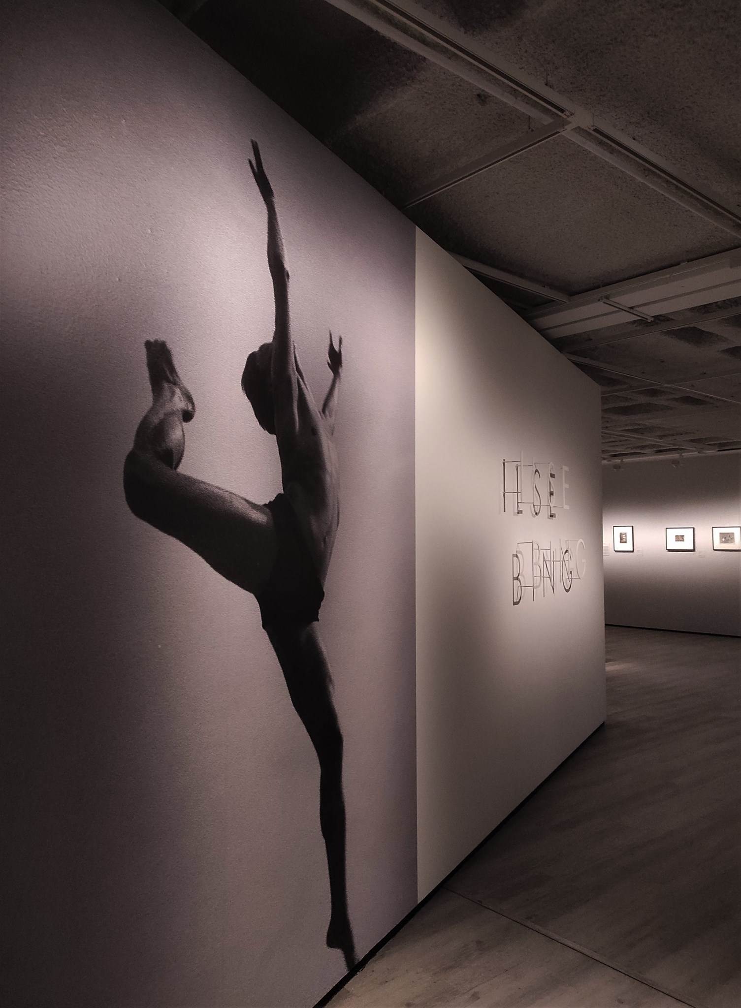 Ilse Bing al KBr | 23/02/2023 · Sara Hosta Ilse Bing al KBr | 23/02/2023 · Sara Hosta