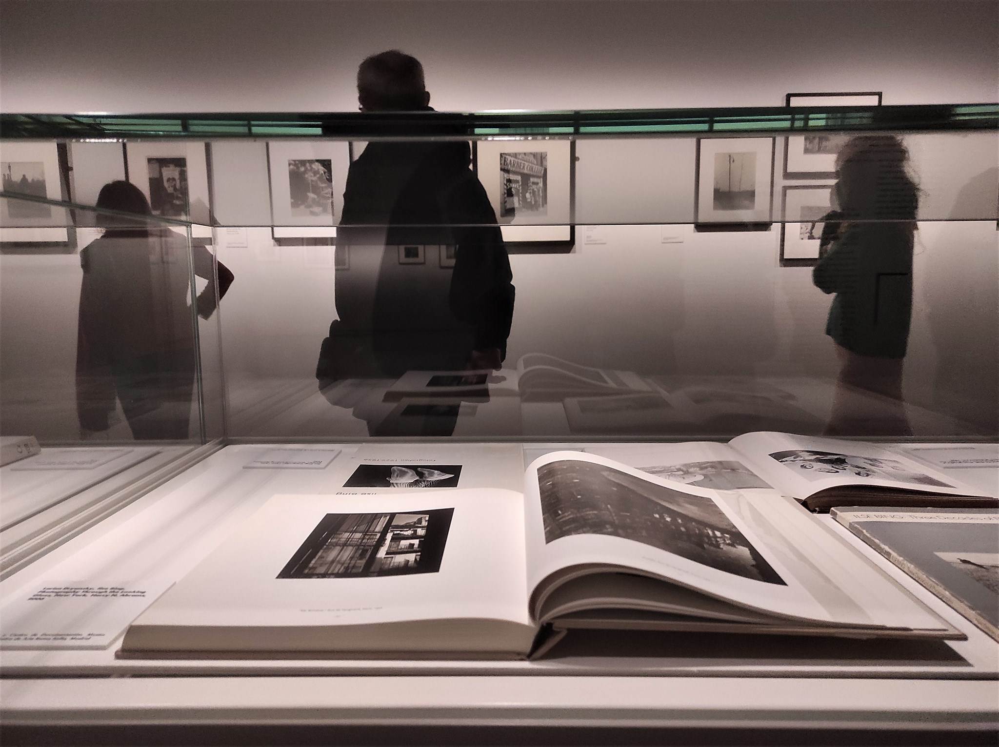 Ilse Bing al KBr | 23/02/2023 · Sara Hosta Ilse Bing al KBr | 23/02/2023 · Sara Hosta
