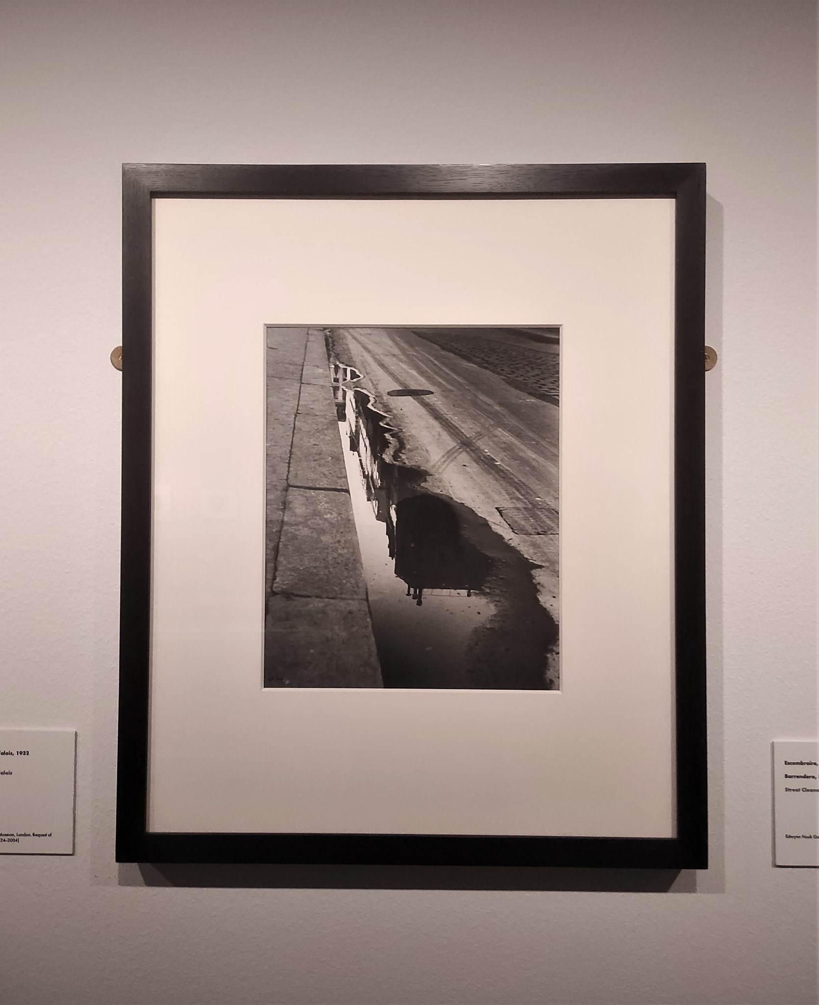 Ilse Bing al KBr | 23/02/2023 · Sara Hosta Ilse Bing al KBr | 23/02/2023 · Sara Hosta