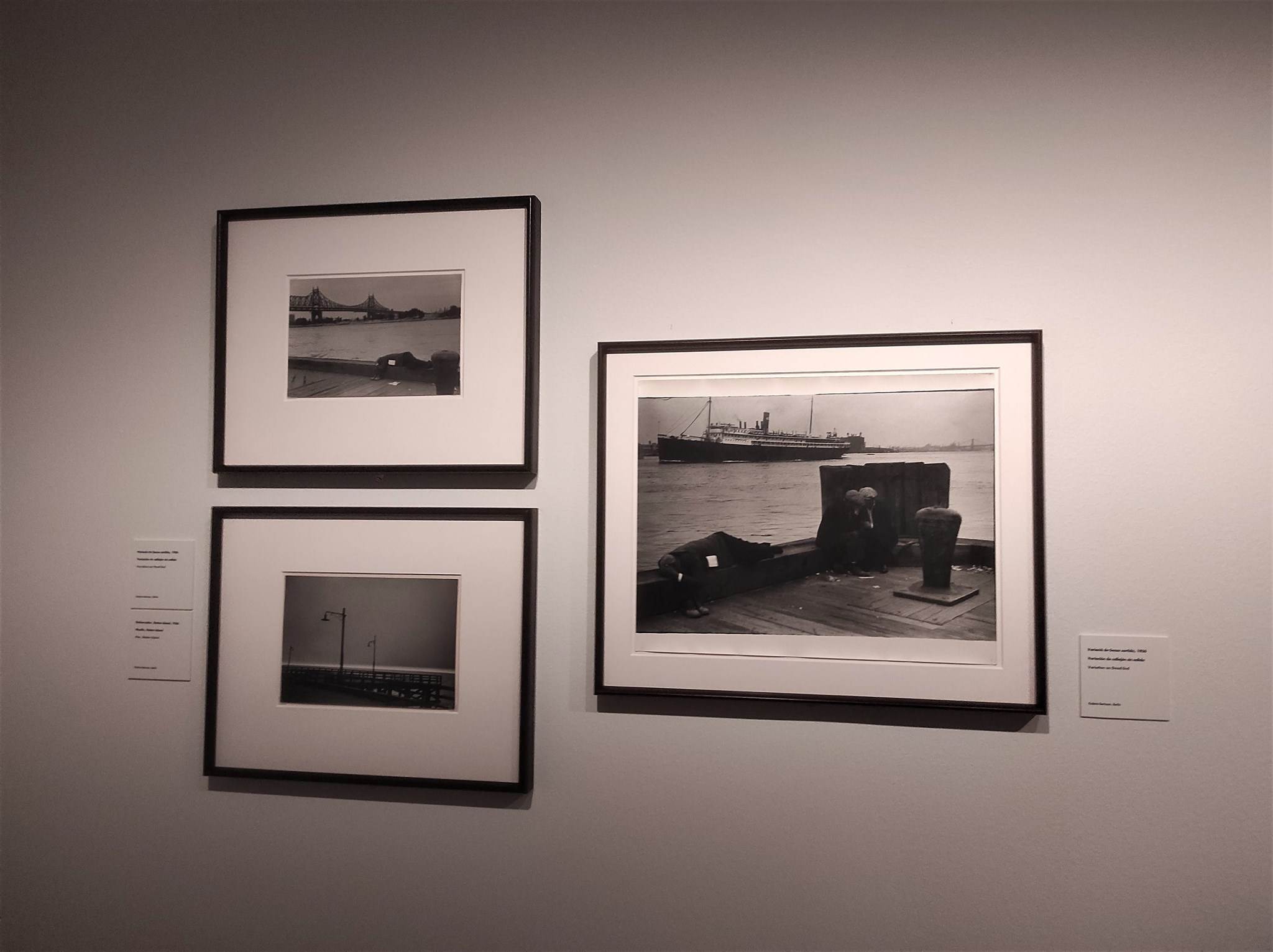 Ilse Bing al KBr | 23/02/2023 · Sara Hosta Ilse Bing al KBr | 23/02/2023 · Sara Hosta