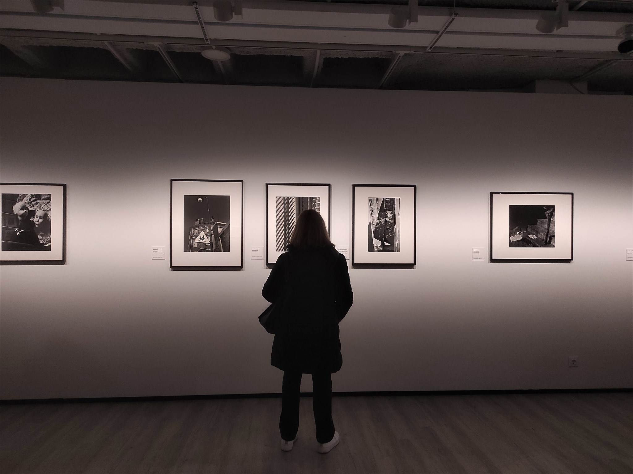 Ilse Bing al KBr | 23/02/2023 · Sara Hosta Ilse Bing al KBr | 23/02/2023 · Sara Hosta