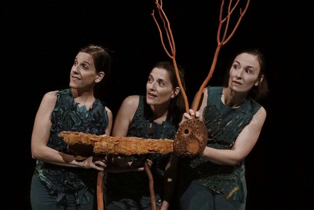 Sotabosc - Inspira Teatre