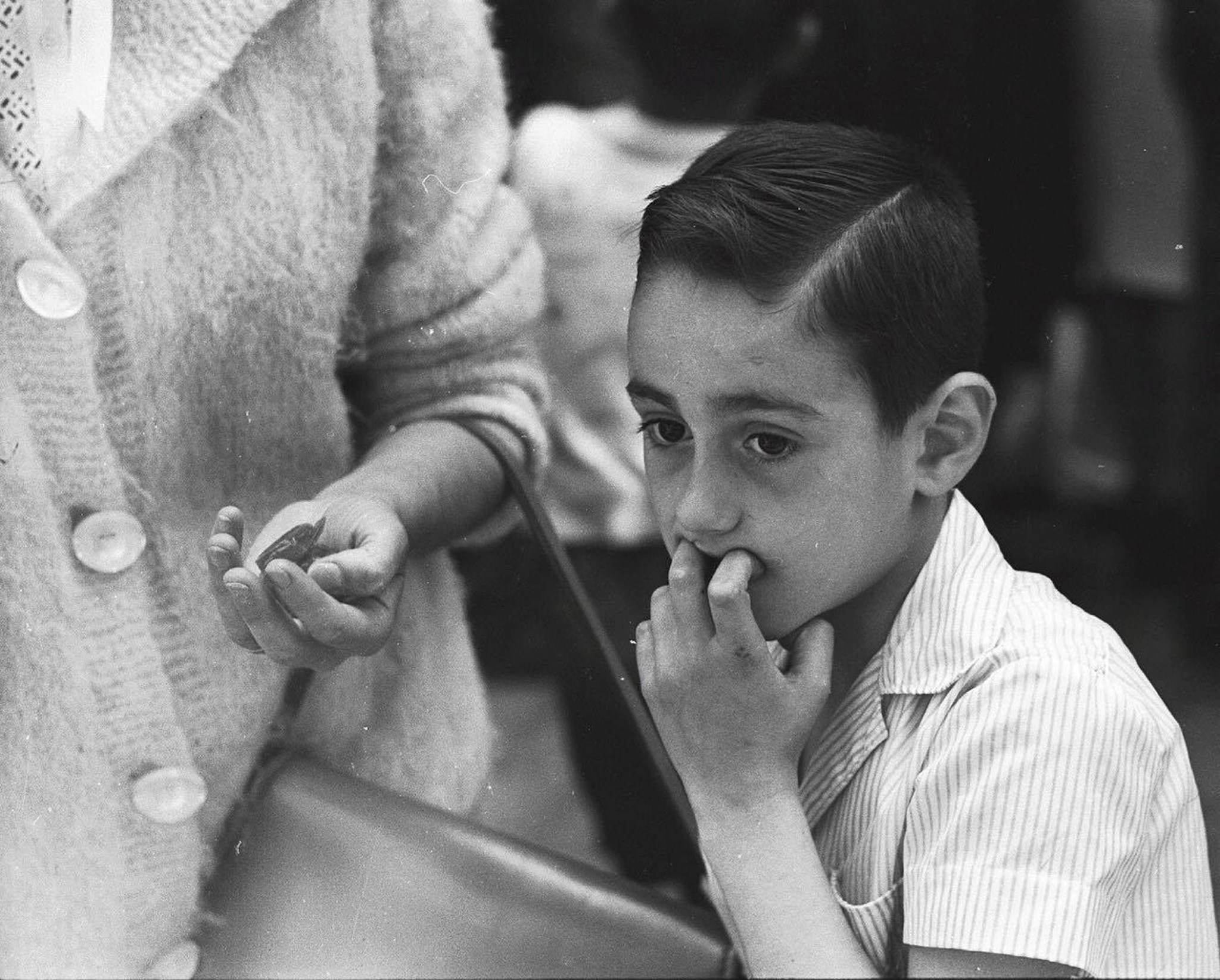 Отнести фотографии. Фотогрaф: Milagros Caturla. Фотограф Милагрос Катурла Барселона, 1962. Старый аутист.