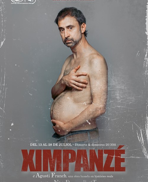 Ximpanzé