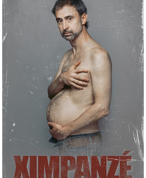 Ximpanzé