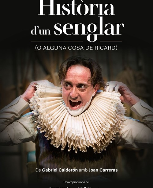 Història d’un senglar (o alguna cosa de Ricard)