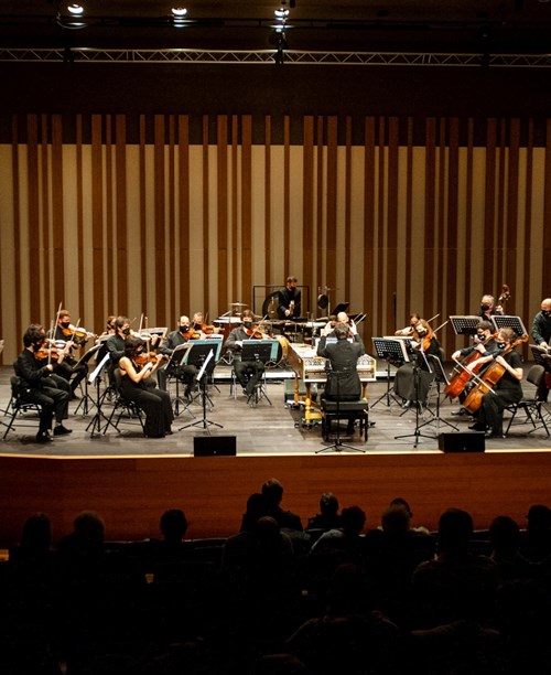 Camerata Eduard Toldrà. La veu del poble